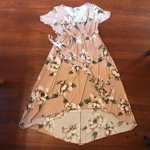 Pinkblush Hi-low dress